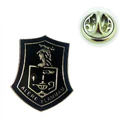 metal lapel pin